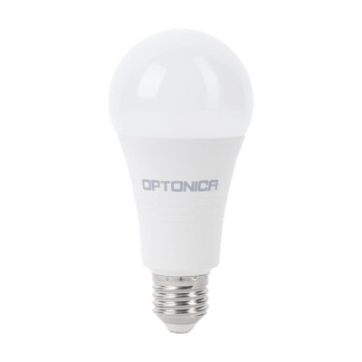 LED Bulb E27 A65 270º 19W White light
