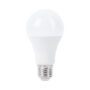 LED Bulb E27 A60 Dimmable 12W White light