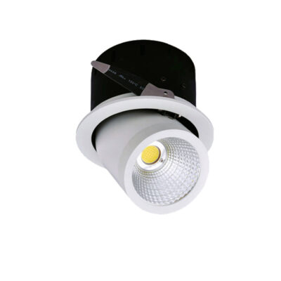 LED COB Downlight Rotatable Citizen Chip 35W White light
