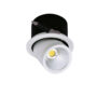 LED COB Downlight Rotatable Citizen Chip 35W White light