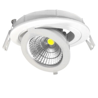 LED COB Adjustable Downlight Round 12W White light