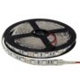 LED Strip 5050 Non-Waterproof Home Edition 14.4W/m Red