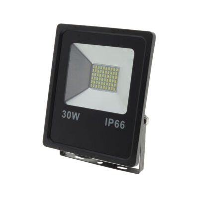 LED Floodlight SMD 30W White light