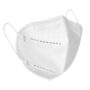 KN95 Mask - 5 PCS/ Pack None No color