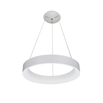 LED Pendant Lamp 60W White light