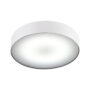 ARENA WHITE LED