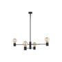 RADIUS IV