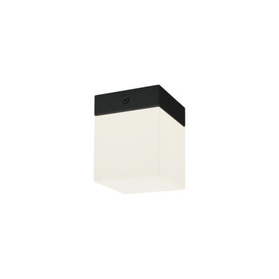 Plafond SIS BL I CG
