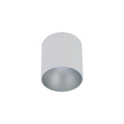 POINT TONE WHITE/SILVER
