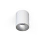 EYE TONE WHITE/SILVER