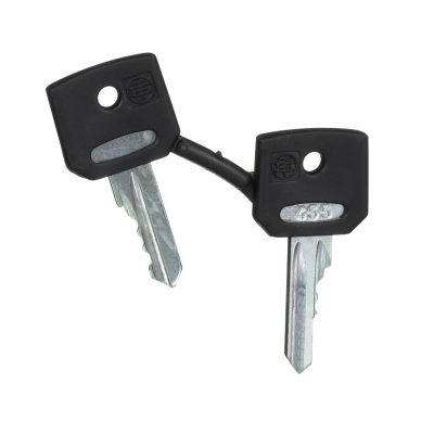 Komplet 2 ključa 455