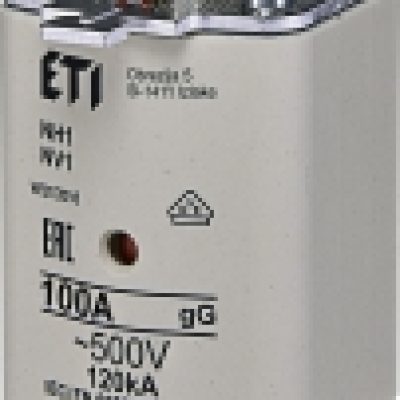 Rastalni uložak NH1 gG 100A/500V