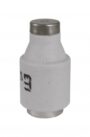 Rastalni uložak DIII gG 35A/500V