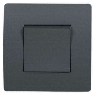 EL BASIC TG102 1 BUTTON 2 WAY SWITCH GRAPHITE-OLD