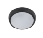 LED STROPNA SVJETILJKA BRLED 6W CRNA IP54
