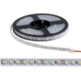 LED  TRAKA LED600 3528 12V DC IP65 120PCS/1M  HLADNA BIJELA