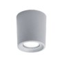 LIVIA 90 LED STROPNA SVJETILJKA 6W CCT IP55 SIVA