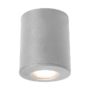 FRANCA 90 LED SVJETILJKA 1X3,5W 4000K IP55 SIVA