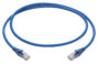 Kabel RJ45 Cat6 U/UTP 0,5m