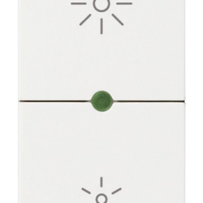 Dimmer MASTER 230V univerzalni bijeli