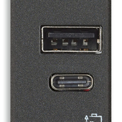 USB napajač A+C12W2,4A5V1M karbonski m