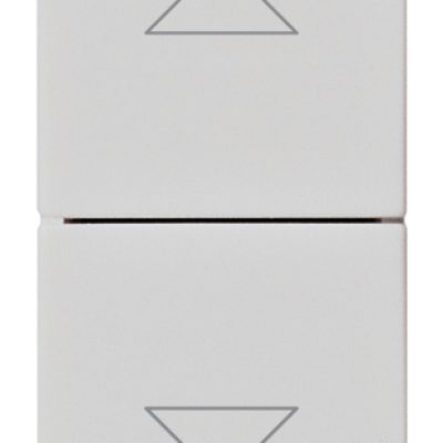 Dva gumba interbl.1P NO+NO 10A Silver