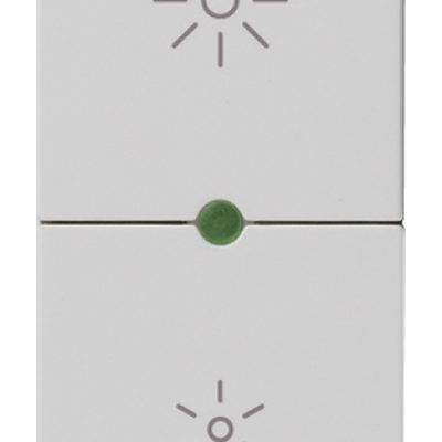 Dimmer MASTER 230V univerzalni Silver