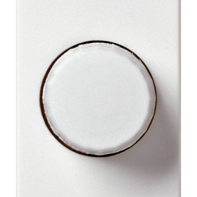 Dimmer 120V 30-500W/30-300VA bijeli