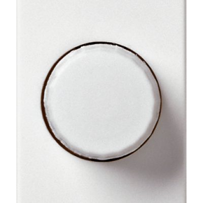 Dimmer 230V 100-500W bijeli