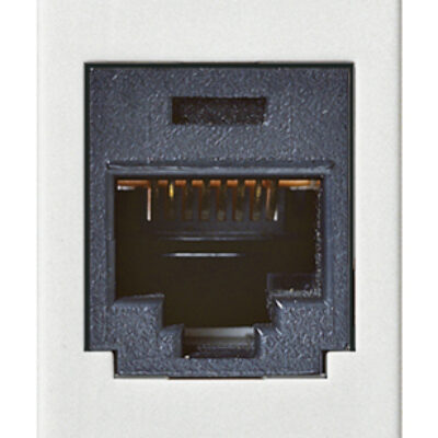 Utikač RJ45 Panduit Cat5e UTP bijeli