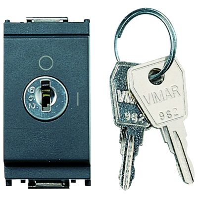 Prekidač 2P 16AX + ključ sivi
