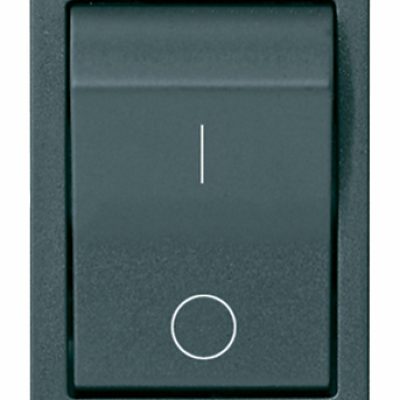 Prekidač MT 1P+N C10 120-230V sivi