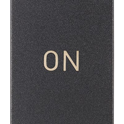 Gumb 1P NO+NC 10A simbol ON sivi