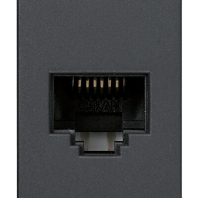 Netsafe Cat5e UTP siva priključnica RJ45