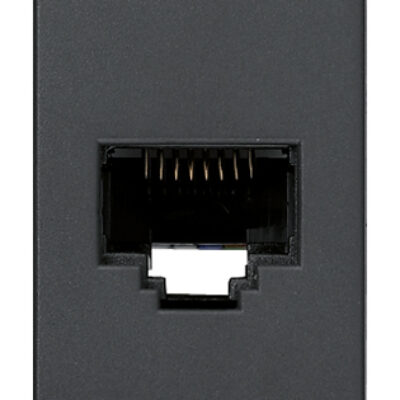 Utičnica RJ45 Netsafe Cat5e UTP siva