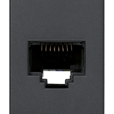 Utičnica RJ45 Netsafe Cat6 UTP siva
