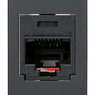 Priključak RJ45 Panduit Cat5e UTP sivi