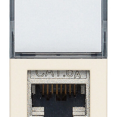 Utičnica RJ45 Netsafe Cat6A FTP konopljina