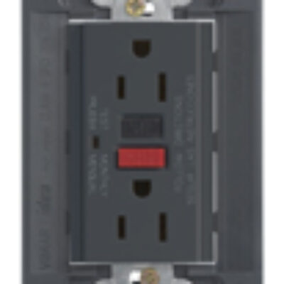 Dvije utičnice 2P+T 15A USA s GFCI siva
