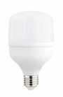 LED BULB E27 T80 24W 2700LM 220-240V 4000K