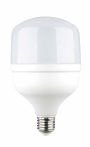 LED BULB E27 T100 30W 3200LM 220-240V 4000K