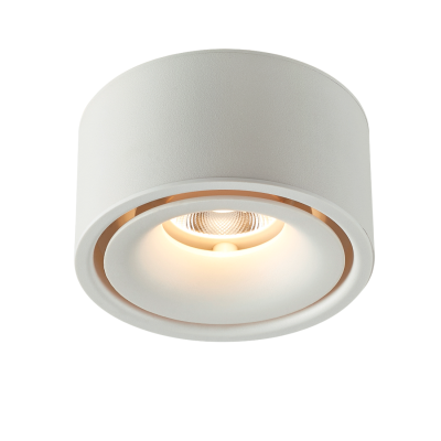 LED SURFACE MOUNT DOWNLIGHT 10W 80LM/W WHITE 3000K BRIDGELUX-CHIP