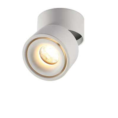 LED SURFACE MOUNT DOWNLIGHT 12W 80LM/W WHITE 4000K BRIDGELUX-CHIP ADJUSTABLE
