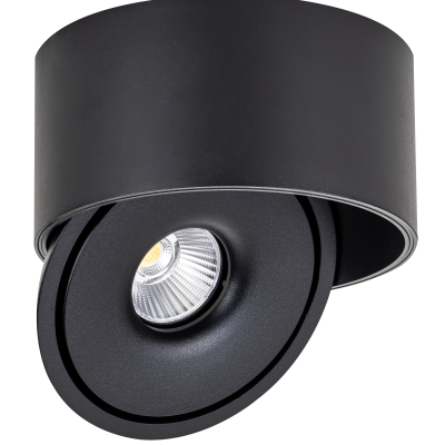 LED COB 20W DOWNLIGHT ROUND ROTATABLE BLACK AC85-265V 100LM/W CCT – BRIDGELUX