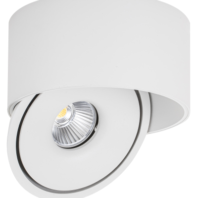 LED COB 20W DOWNLIGHT ROUND ROTATABLE WHITE AC85-265V 100LM/W CCT – BRIDGELUX