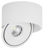 LED COB 20W DOWNLIGHT ROUND ROTATABLE WHITE AC85-265V 100LM/W CCT - BRIDGELUX