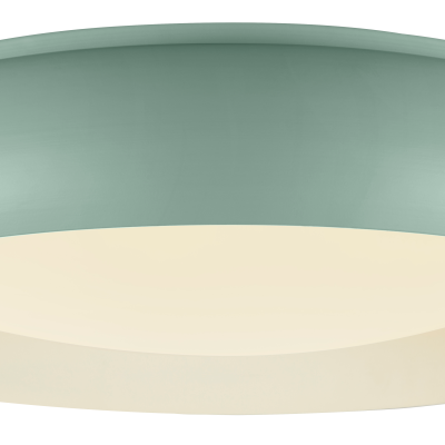 LED CEILING LIGHT 12W 75LM/W WHITE/CYAN BODY CCT