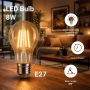 LED BULB A60 8W 810LM E27 220-240V 2700K FILAMENT CLEAR GLASS DIMMABLE