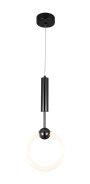 LED PENDANT LAMP 10W/800LM BLACK 3000K 175-265V