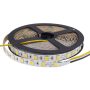 LED STRIP 5025 60L/M 24V 10MM 16W/M 800LM/M 3000K-6000K IP